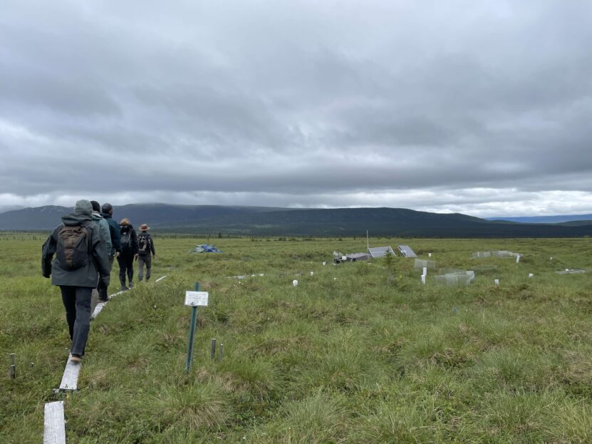 Permafrost Pathways Celebrates Six Months - Permafrost Pathways