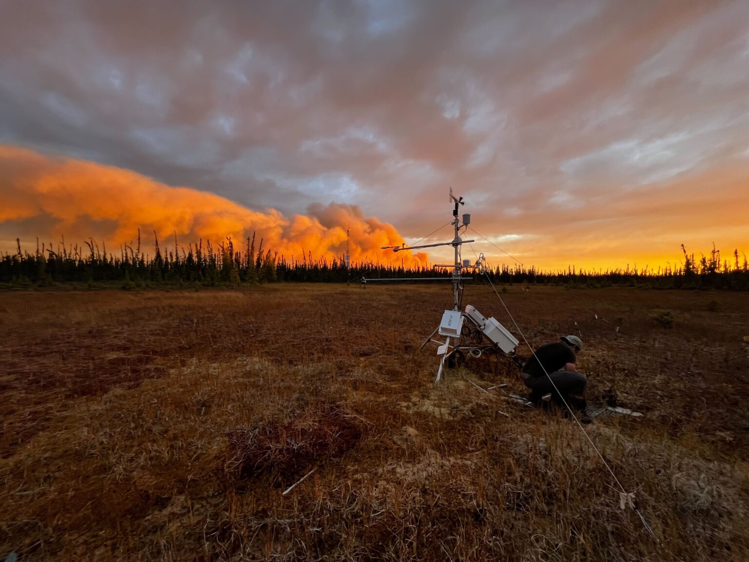 Permafrost Pathways Celebrates Six Months Permafrost Pathways   IMG 2930 1536x1152 