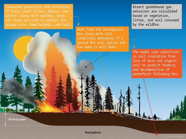 Illustration of Arctic-boreal zone fire processes.